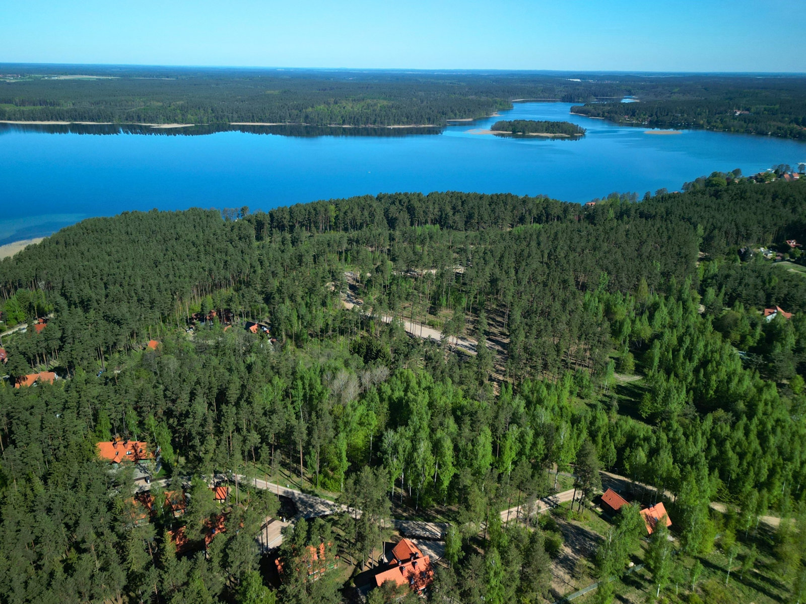 Teren inwestycji w otoczeniu lasów